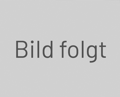 Bild folgt.png